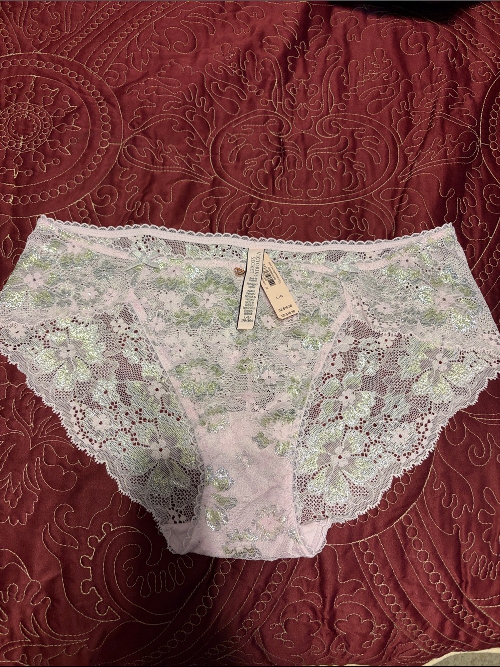 Victoria's Secret Lace hipster Briefs in Light Pink with Mint Floral Embroidery